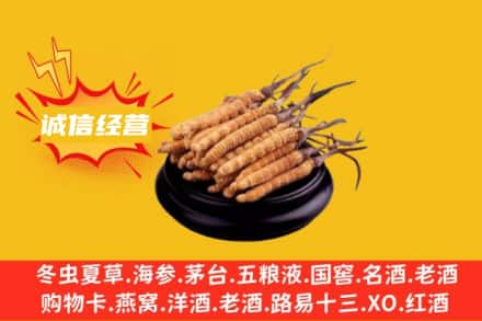 高县回收冬虫夏草